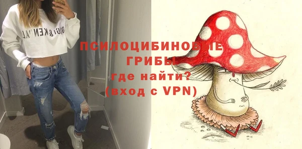 МДПВ Алексеевка
