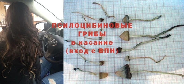 mdpv Алексин
