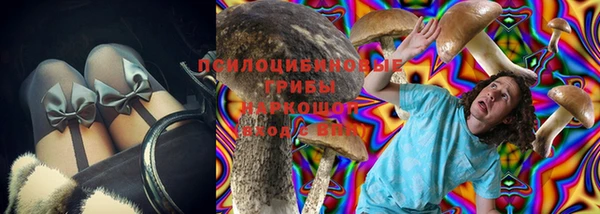 крисы Абинск