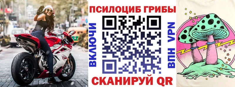 Галлюциногенные грибы GOLDEN TEACHER  где купить   Абакан 