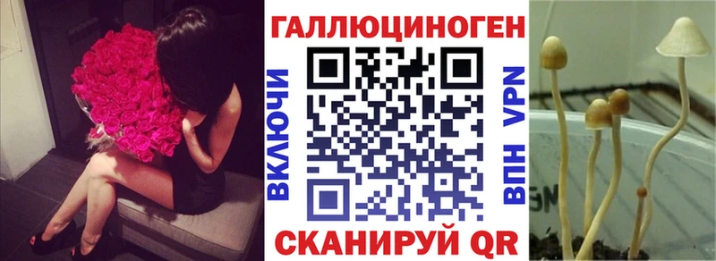 Псилоцибиновые грибы ЛСД Абакан